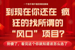 马上26年了，你还在找所谓的风口项目？别傻了，看完这个你全都懂了！【揭秘】